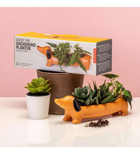 Kikkerland DAISY THE DACHSHUND PLANTER Porselen Kpek Saks