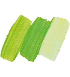 35 ml College Oil May Green Oil Color 31 520 009