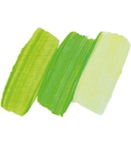 35 ml College Oil May Green Oil Color 31 520 009
