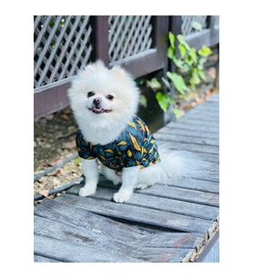 Baskılı Kedi ve Köpek Basic Tişört