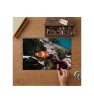 Denizde Turuncu Balık - Denizaltı Canlıları Tasarımı 240 parça Ahşap Puzzle Ahşap Kutuda MP01613