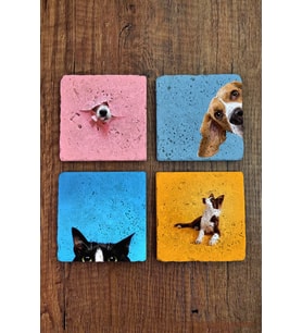 Doğal Taş Bardak Altlığı Renkli Kedi Ve Köpek Baskılı 4'lü Set