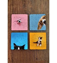 Doğal Taş Bardak Altlığı Renkli Kedi Ve Köpek Baskılı 4'lü Set