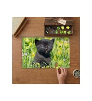 Mavi Gözlü Siyah Yavru Kedi Tasarımı 240 parça Ahşap Puzzle Ahşap Kutuda MP10759