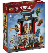 LEGO Ninjago 71866 Ninja Character Display