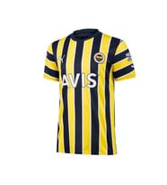 Puma Fenerbahçe 2022-2023 Ev Sahibi Çubuklu Forma Erkek 76908001 (Çok Renkli)