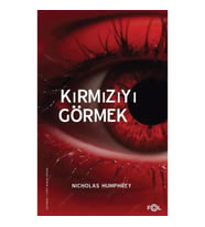 Kırmızıyı Görmek