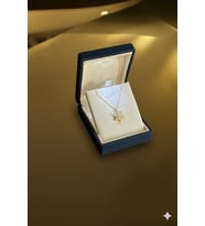 (PREMİUM IŞIKLI KUTULU) 925 Ayar Gümüş Beyaz Taşlı 18 Ayar Gold Kaplama Lotus Çiçeği Kadın Kolye (Beyaz Gold)