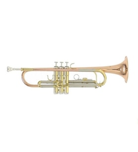 Roy Benson TR-202G Bb Trompet