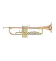 Roy Benson TR-202G Bb Trompet