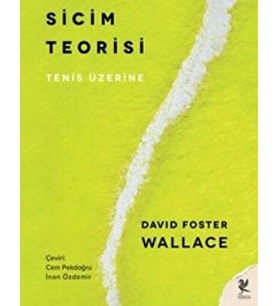 Sicim Teorisi