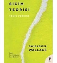 Sicim Teorisi