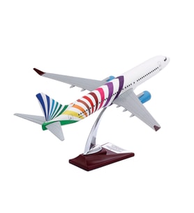 Zekupp - Maket Uçak - Boeing 737-800 1/100 - RENKLİ ÖZEL TASARIM Model Uçak