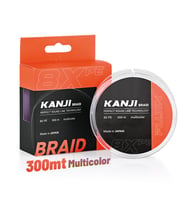 Fujin Kanji 8X 300MT 0.235Mm Multi Color Pe Line