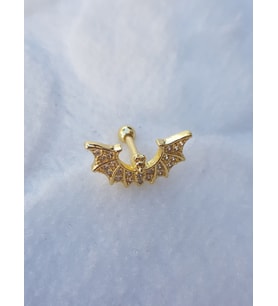 Tragus Küpe Piercing Çelik