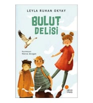 Bulut Delisi