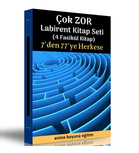 Çok Zor Labirent Kitap Seti (4 Fasikül Kitap)