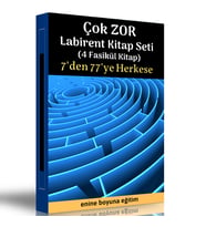 Çok Zor Labirent Kitap Seti (4 Fasikül Kitap)