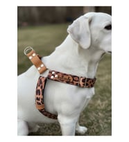 Köpek Göğüs Tasması Küçük, Orta ve Büyük Irk Ayarlamalı Kolon Kordon & Deri Leopar Desen