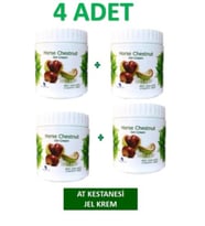 At Kestanesi Jeli, Kas ve Eklem Masaj kremi 500ml (4 Adet X 500ml)
