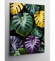 Kanvas Tablo Yeşil Monstera Yaprakları
