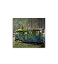 Mossy Old Volkswagen In The Forest 60 X 60 Cm