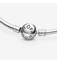 Pandora Charm Uyumlu, Ball  Klips Yılan Bangle Bilezik, Ahşap Kutulu