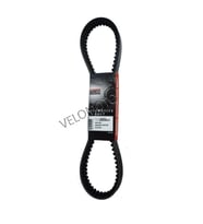 Kayış Honda Fes Foresıght 250 Honda Ps 250 Peugeot Sv 250 Pıaggıo X9 250 Uyumlu Bando Japon S19-013