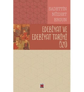 Edebiyat ve Edebiyat Tarihi Özü