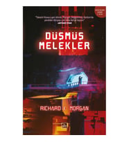 DÜŞMÜŞ MELEKLER