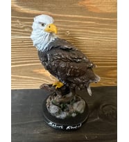 Beyaz Başlı Kartal Figürü
