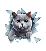 Fulcar British Araç Stickerı