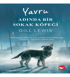 Yavru Adında Bir Sokak Köpeği