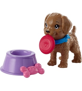 Orjinal Barbie'Nin Köpeği Ve Aksesuarları (Çok Renkli)