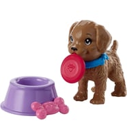 Orjinal Barbie'Nin Köpeği Ve Aksesuarları (Çok Renkli)