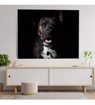 Siyah Sevimli Rotvaydır Köpek Dekoratif Kanvas Tablo