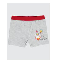 Civil Boys Erkek Bebek Boxer 9-18 Ay Boxer  Gri