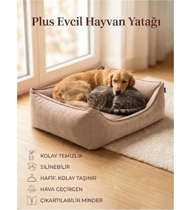 Silinebilir Kedi Köpek Yatağı, Koltuk Kumaşı, Çıkartılabilir Minder, Bej, Medium (45x60cm)