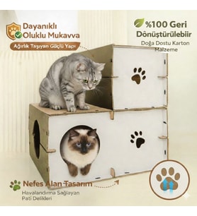 CATSSLE Kedi Oyun Evi ve Tüneli Modüler 2 Katlı Karton