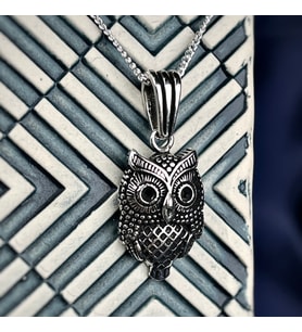 Gümüş Baykuş Kolye 925 Ayar Gümüş Baykuş Figürlü Unisex Kolye