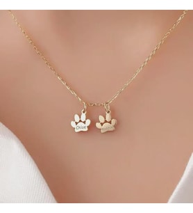 Kişiye Özel Minimalist Pati Çift İsim Kolye 925K Gümüş (Gold)