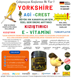 YORKSİHİRE -AGİ VE CREST Büyük Irk Kanarya Için Üreme Ve Yumurta Arttırıcı Mix 100 gr