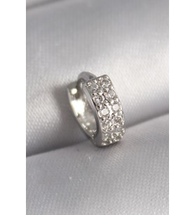 Gümüş Renk Zirkon Taşlı Tragus Piercing - EBJ241123W29456
