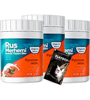 Playboy Turquoise Tüy Dökücü Krem 3 Adet Ceviz &amp; Ceviz Sütü Rus Merhemi 50 ml + Yanında Jel