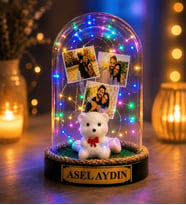 Kişiye Özel 3 Fotoğraflı Renkli LED Işıklı Beyaz Ayıcıklı Fanus Anlamlı Fotoğraflı ve Yazılı Hediye