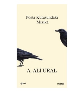 POSTA KUTUSUNDAKİ MIZIKA