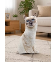 3d Dijital Baskılı Dekoratif Kedi Yastık