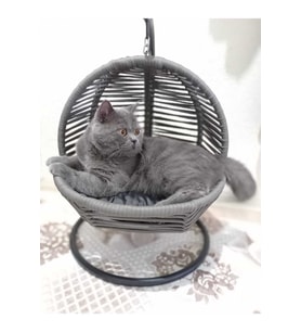 Rahat ve Güvenli Kedi Salıncağı ve Yatağı Sabitleme Aparatlı
