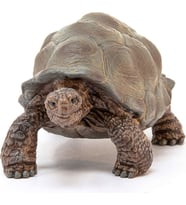Schleich Dev Tosbağa 14824