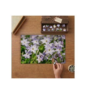 Yıldız Çiçeği - Bahar Çiçekleri Tasarımı 240 parça Ahşap Puzzle Ahşap Kutuda MP05222